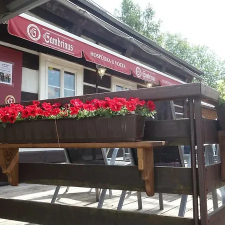 U Vocta Rokytnice nad Jizerou